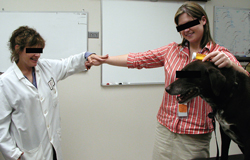 Dr. Robinson demonstrates an applied kinesiology test for allergies by noting muscle strength in a client’s outstretched arm as she touches her animal.